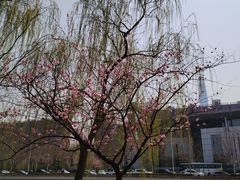 -泰丰公园