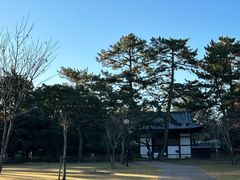 -奈良公园