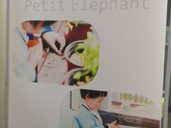 -小象托育