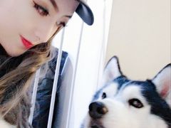 -Husky Go! 哈士奇体验馆·宠物咖啡厅狗咖