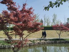 -西海子公园