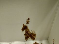 -Awfully Chocolate(嘉里城店)