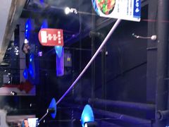 -蓝珊瑚蒸汽海鲜餐厅(龙奥店)