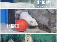 -海合安天津极地海洋公园
