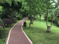 -樱桃山旅游景区