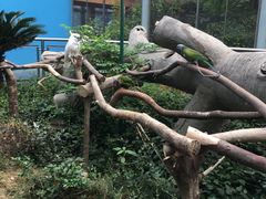 -无锡动物园·太湖欢乐园