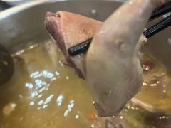 -鸽鸟轩(石岐店)