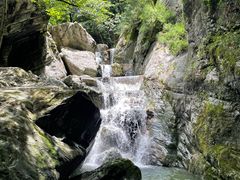 -牛背梁国家森林公园