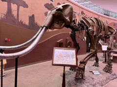 -陕西自然博物馆