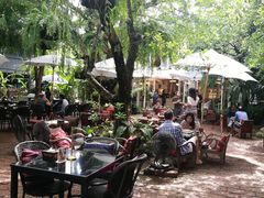 -Fern Forest Cafe