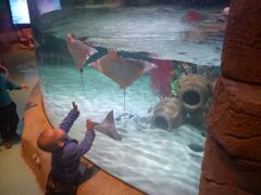 -沈阳海洋探索中心