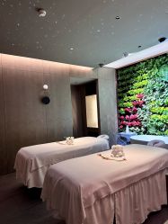 -VELEE·SPA高定疗愈会所