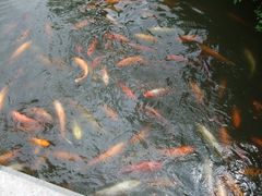 -陈云纪念馆