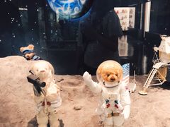 -济州岛泰迪熊博物馆