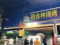 -杨合林啊兰烤鱼