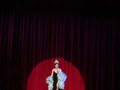 -金东尼人妖秀