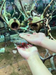 -Zoolung Zoolung动物主题公园(海信广场店)