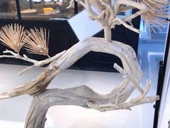 -KUNCHA鲲茶·江西制茶(铜锣湾店)
