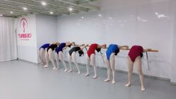 -艺佳舞蹈培训学校