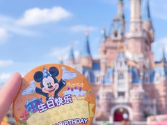 -上海迪士尼度假区