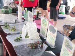 -马陆小张葡萄园农家乐