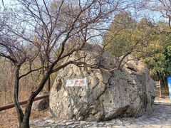 -阳台山自然风景区