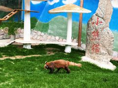 -栾川竹海野生动物园