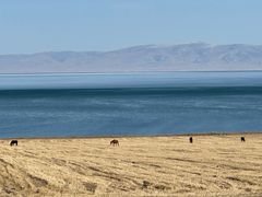-青海湖国家重点风景名胜区