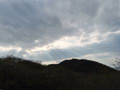 -大围山国家森林公园