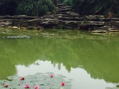 -铁山坪森林公园