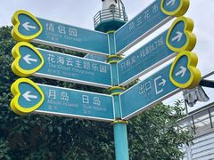 -荷兰花海