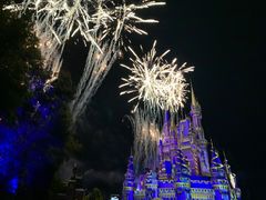 -奥兰多迪士尼动物王国乐园