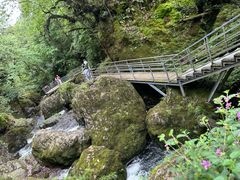 -龙苍沟森林公园