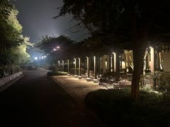 -宁波柏悦酒店·钱湖渔港