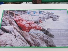 -广东惠东海龟国家级自然保护区
