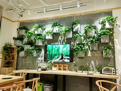 -竹鲜笙全竹宴(国色天香店)