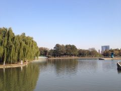 iphone_upload_pic-白塘生态植物园