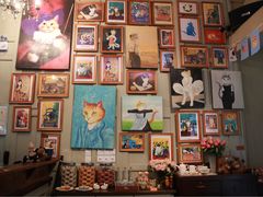 -猫咪博物馆(顶澳仔猫街店)