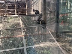 -石家庄市动物园