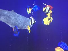 -浙江省科技馆
