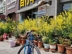 -道路口单车爱瓦士dahon大行