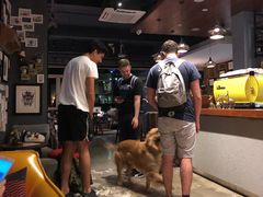 -咖法森林·咖啡  酒吧(天河店)