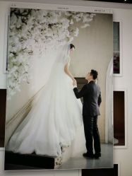 点击看大图 -韩国艺匠ARTIZ STUDIO(博览中心店)