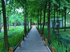 -康新公路(地铁站)