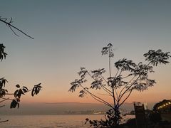 -深圳湾公园(南山区)