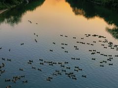 -清远鱼水旅游风景度假区
