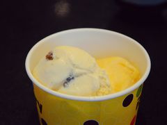 DSC_9374_副本-莓园冰淇淋店