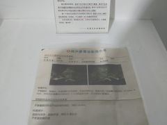 -成都失恋馆