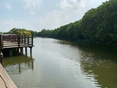 -南沙十九涌渔人码头-南门