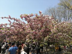 -大雁塔北广场音乐喷泉